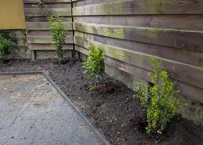 아파트 Stilvolle Altbau Im Zentrum Von Detmold, Paulana *