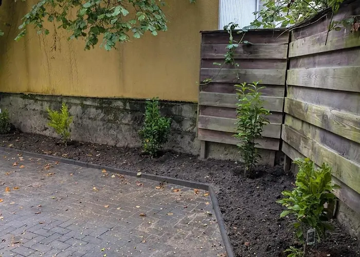 Stilvolle Altbau Im Zentrum Von Detmold, Paulana * 데트몰트